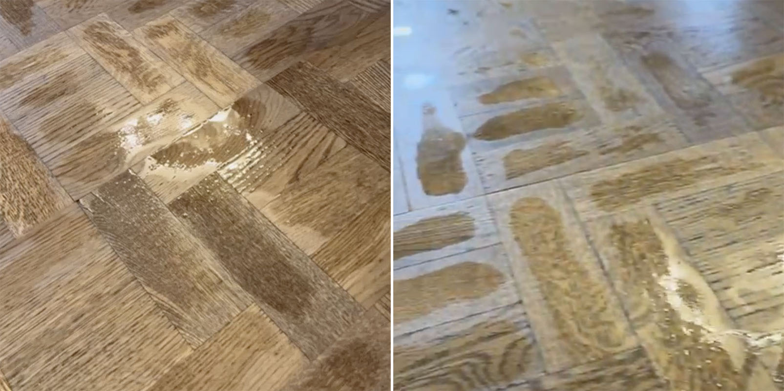 Discoloured wood floor from excessive water exposure