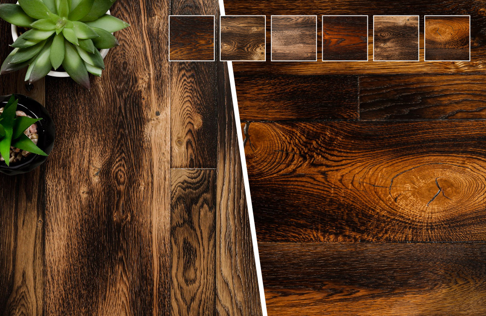 St Leonards Collection by JackEvie